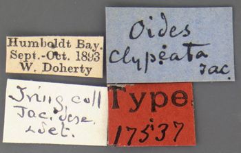 Media type: image; Entomology 17537   Aspect: labels